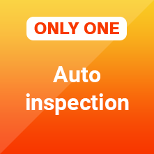 ONLY ONE Auto inspection
