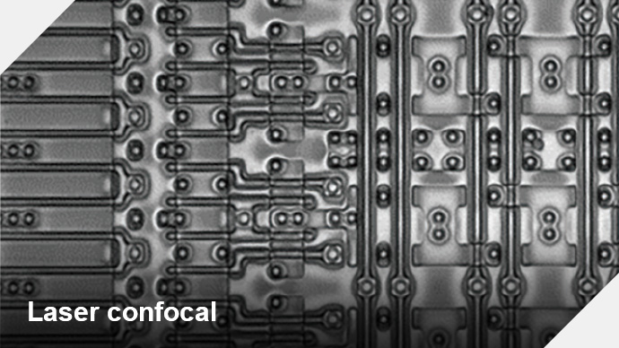 Laser confocal