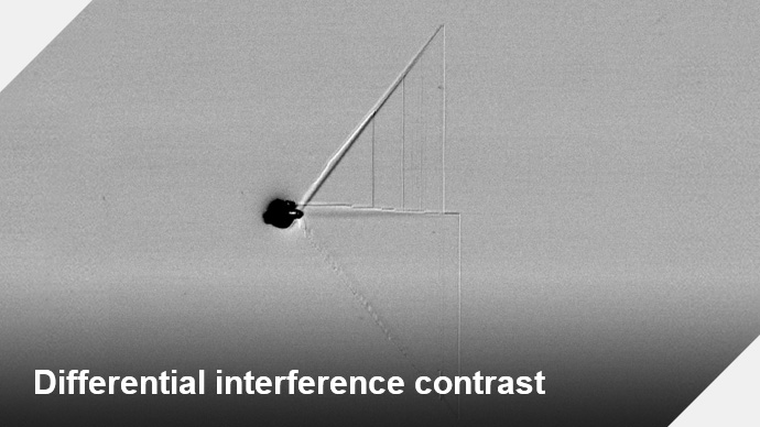 Differential interference contrast