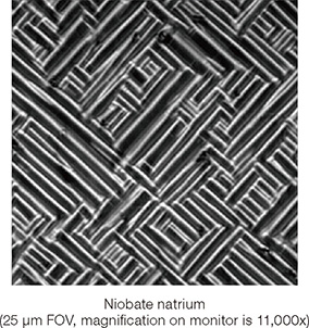 Niobate natrium (25 μm FOV,magnification on monitor is 11,000x)