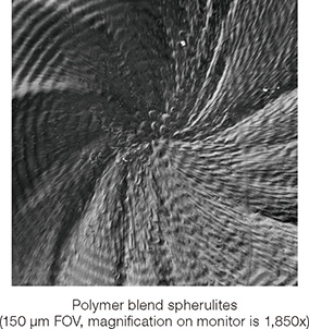 Polymer blend spherulites (150 μm FOV, magnification on monitor is 1,850x)