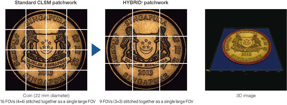 Standard CLSM patch work HYBRID+ patch work 3D image