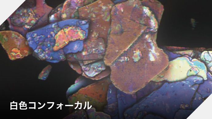白色コンフォーカル