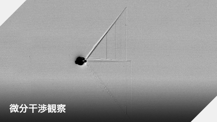 微分干渉観察