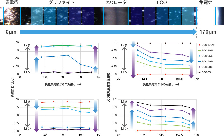 同时分析正极和负极反应分布